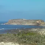 Surf 1