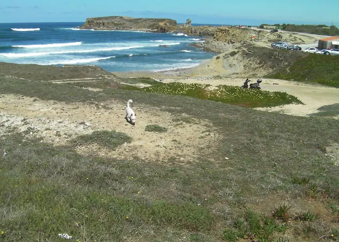 Guest house Surf 1 2*