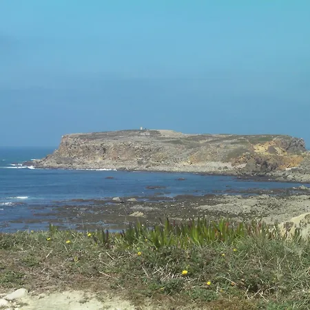 Surf 1