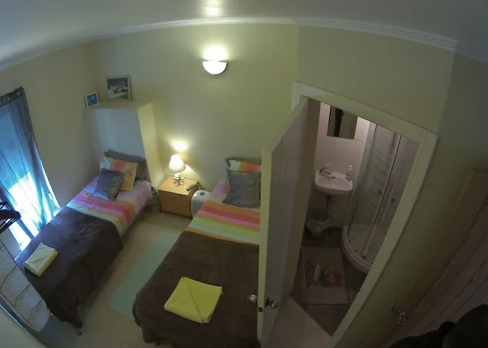 Surf 1 2* Пениши