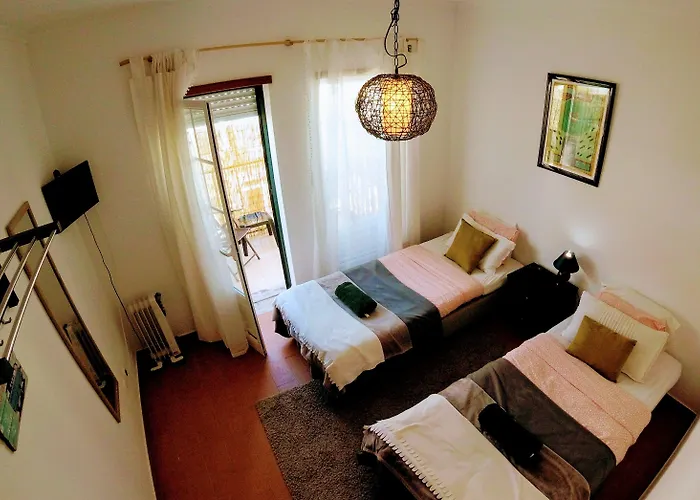 Surf 1 2* Пениши